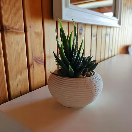 Affascinante Mansarda Nel Cuore Di * ブルナーテ